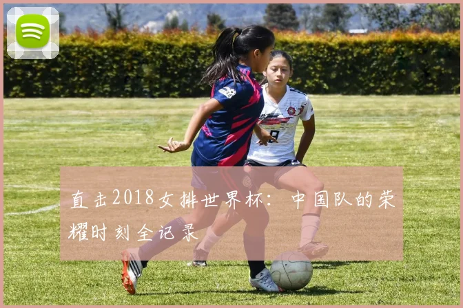 直击2018女排世界杯：中国队的荣耀时刻全记录